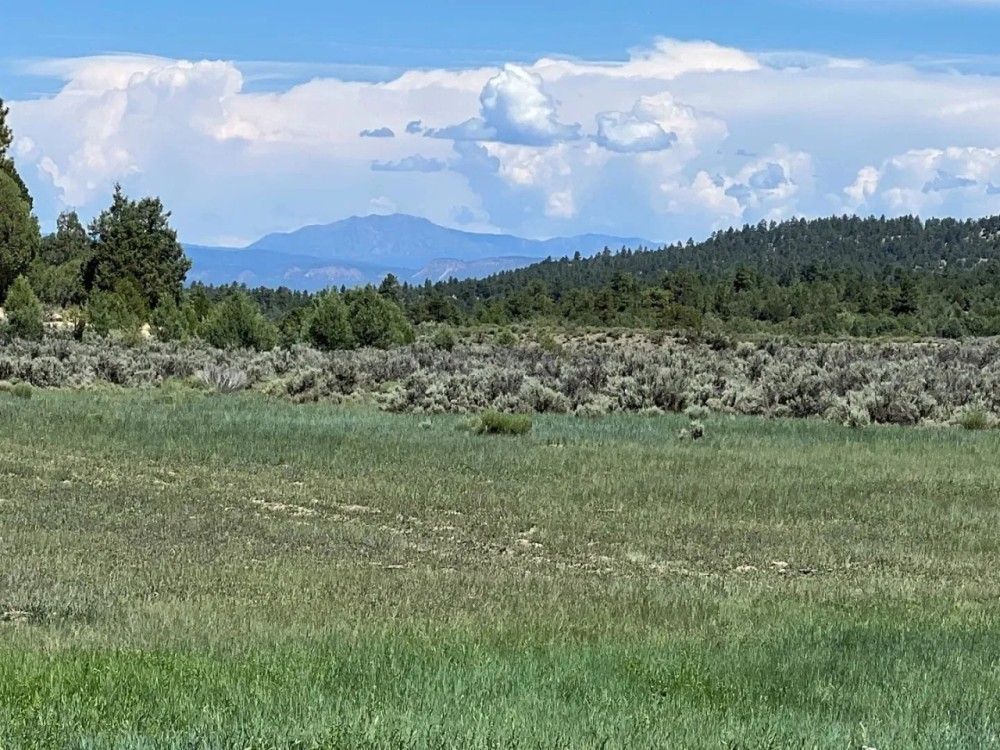 Incredible Elk Hunting Ranch in Chama Valley featured image