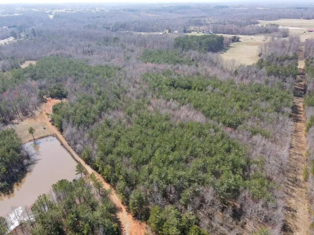 59 acres of Recreational and Hunting Land For Sale in Charlotte County VA featured image