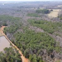 59 acres of Recreational and Hunting Land For Sale in Charlotte County VA