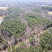 59 acres of Recreational and Hunting Land For Sale in Charlotte County VA images 2