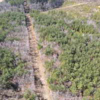 59 acres of Recreational and Hunting Land For Sale in Charlotte County VA images 3