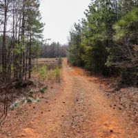 59 acres of Recreational and Hunting Land For Sale in Charlotte County VA images 5