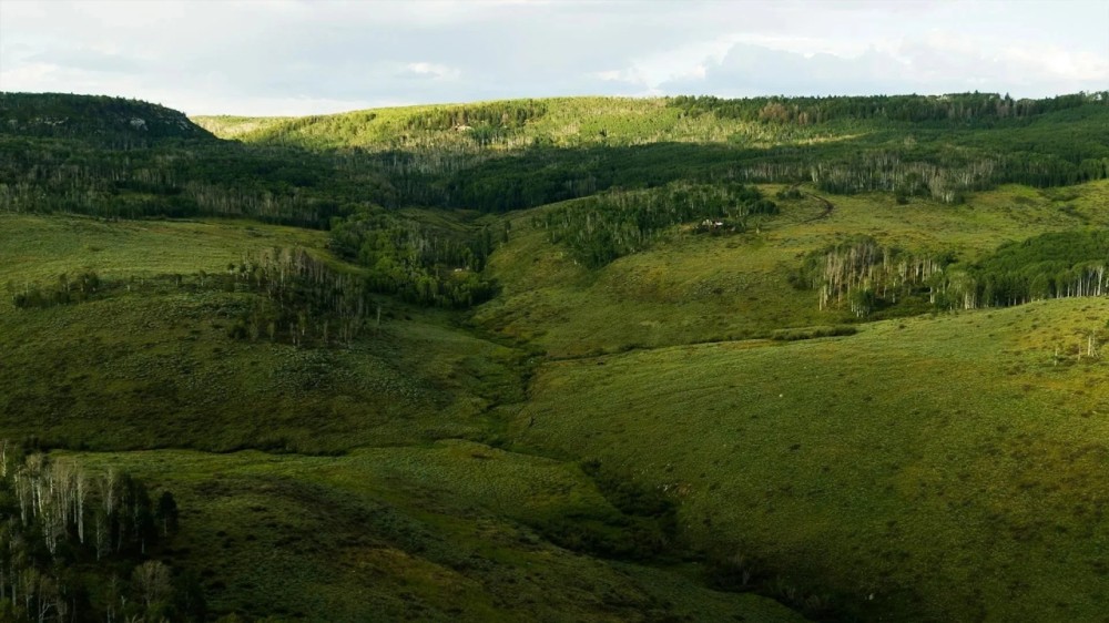 Lobe Creek Ranch featured image