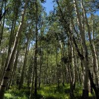 Lobe Creek Ranch images 2