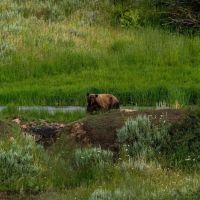Lobe Creek Ranch images 5