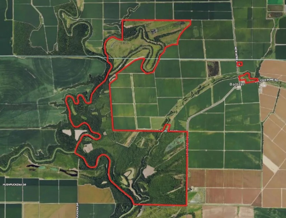 MS - Sunflower Cohoama 1230 acres - featured image