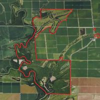 MS - Sunflower Cohoama 1230 acres -