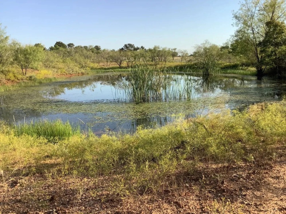 Price Improvement 32.45 - Acres Eastland County featured image