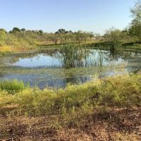 Price Improvement 32.45 - Acres Eastland County