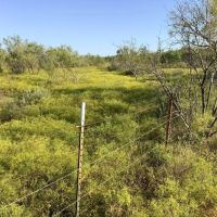 Price Improvement 32.45 - Acres Eastland County images 2