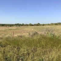 Price Improvement 32.45 - Acres Eastland County images 3