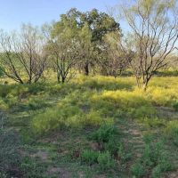 Price Improvement 32.45 - Acres Eastland County images 4