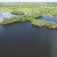 New Listing 67 - Acres Taylor County images 4