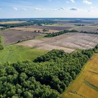 000 County Road 2100N Cisne IL 62823 images 3