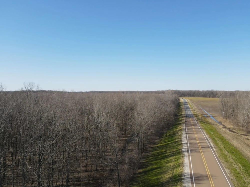 52.87 Acres in Sharkey County MS featured image