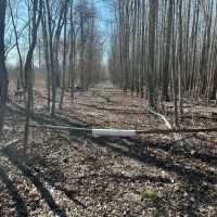 52.87 Acres in Sharkey County MS images 2