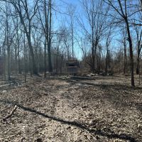 52.87 Acres in Sharkey County MS images 5