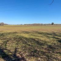 66-Acres with Row Crop Whitetail Ducks Doves and Turkey Hunting in Benton County TN images 2