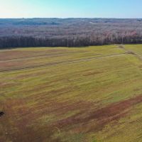 66-Acres with Row Crop Whitetail Ducks Doves and Turkey Hunting in Benton County TN images 4