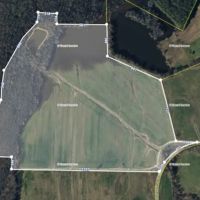 66-Acres with Row Crop Whitetail Ducks Doves and Turkey Hunting in Benton County TN images 5