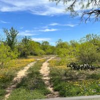 853 - Acres….Creek Elevation Hunting Heavy Cover Food Plots Much more images 2