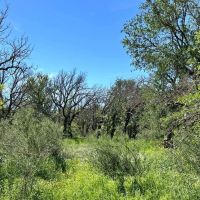 853 - Acres….Creek Elevation Hunting Heavy Cover Food Plots Much more images 3