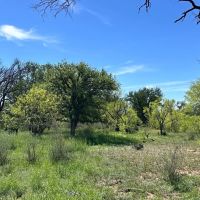 853 - Acres….Creek Elevation Hunting Heavy Cover Food Plots Much more images 4