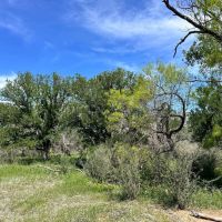 853 - Acres….Creek Elevation Hunting Heavy Cover Food Plots Much more images 5