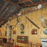 700+ Acres of Deer, Duck, Dove, and Rabbit Hunting With Daily/Overnight Accomodations
