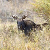 Six-S Ranch images 4