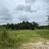 695 Acres T-4 CR 2204 01286 01287 images 5