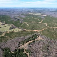 782.5 Acre Walnut Grove TN images 3