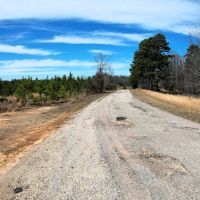 782.5 Acre Walnut Grove TN images 5