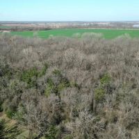 1270 Acres Hunting Ranch Bagwell TX Red River County. images 2