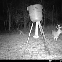 112 Acres With a Cabin in Carroll County MS 112 Acres With a cabin Carroll County MS images 2