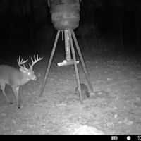 112 Acres With a Cabin in Carroll County MS 112 Acres With a cabin Carroll County MS images 3