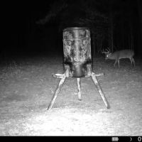 112 Acres With a Cabin in Carroll County MS 112 Acres With a cabin Carroll County MS images 4