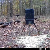 112 Acres With a Cabin in Carroll County MS 112 Acres With a cabin Carroll County MS images 5