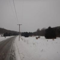 Pristine Pond Creek