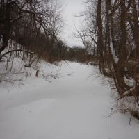 Pristine Pond Creek images 3