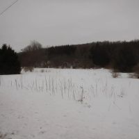 Pristine Pond Creek images 4