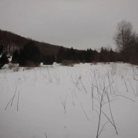 Pristine Pond Creek images 5