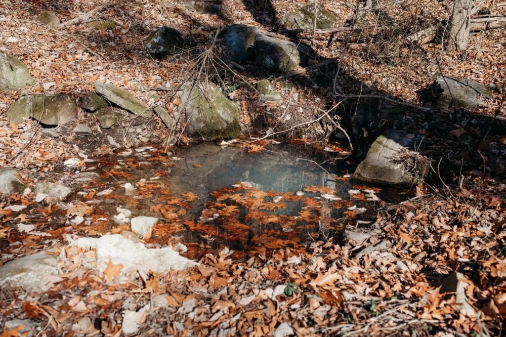27 Acres in Hamilton County TN featured image