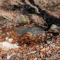 27 Acres in Hamilton County TN