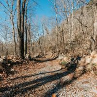 27 Acres in Hamilton County TN images 2