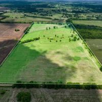 Frogville 80 Acre Bermuda Pasture