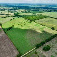 Frogville 80 Acre Bermuda Pasture images 2