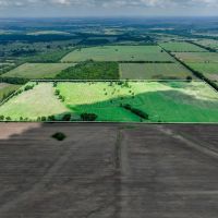 Frogville 80 Acre Bermuda Pasture images 3