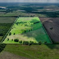 Frogville 80 Acre Bermuda Pasture images 5