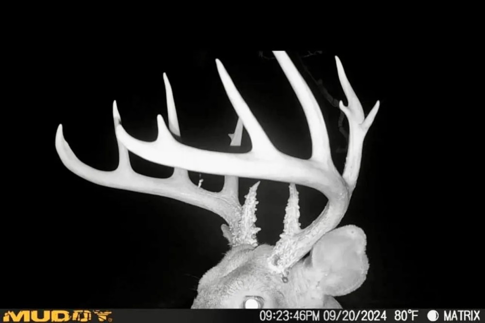 215 Acres in Hardeman County MS featured image